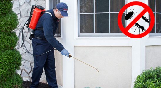 Saraykent Böcek ve Haşere İlaçlama böcek ilaçlama ve haşere kontrolü — ilaclama-tr.com